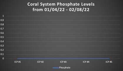 Phosphate Levels