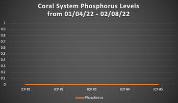 Phosphorus Levels
